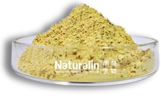 人參提取物